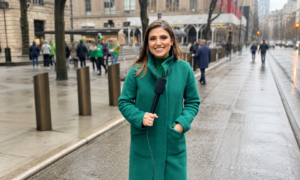 Rana Novini Net Worth and NBC 4 New York career profile
